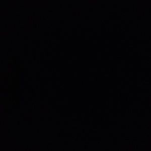 Meet your Posher, Manny